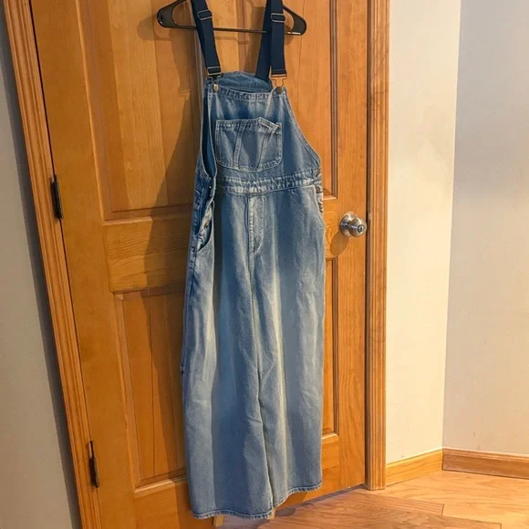 Cider Blue Women's Denim Overalls - Picture 1 of 6